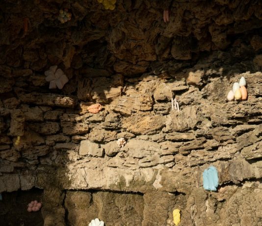 Afferrare il paesaggio. Tami Izko incontra Fondazione La Raia