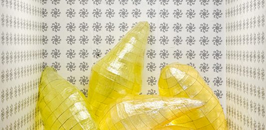 Quiescenza: la mostra di Gabriele Gino Fazio nell’artist run space )(