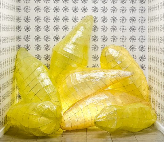 Quiescenza: la mostra di Gabriele Gino Fazio nell’artist run space )(