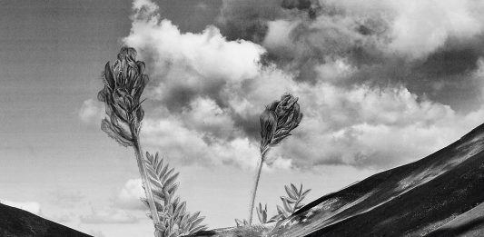 La natura delle cose. Giuseppe Stampone a Città Sant’Angelo