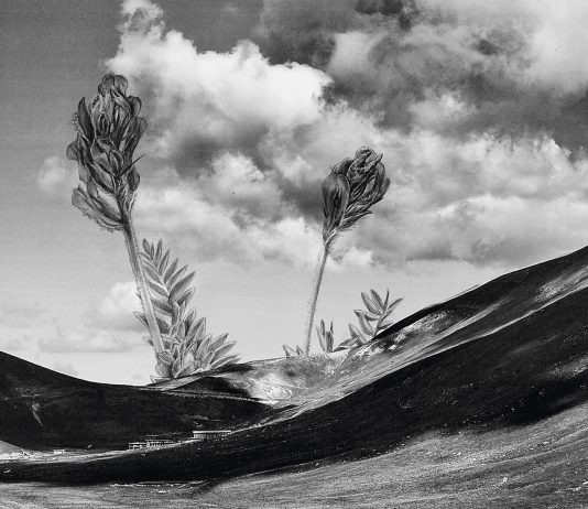 La natura delle cose. Giuseppe Stampone a Città Sant’Angelo