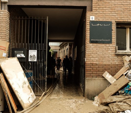 Arte Terapia con Mona Lisa Tina, per aiutare il Museo Zauli di Faenza