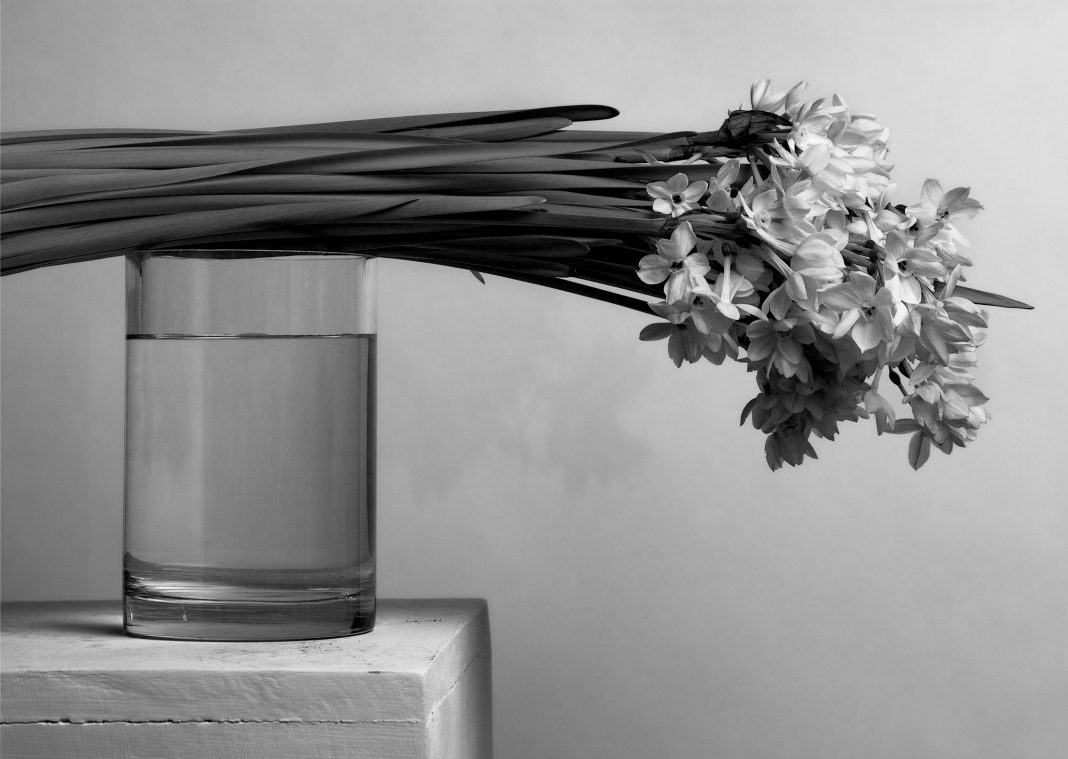 Roberto Patella-FLOWERS WITH VASE Roberto Patella