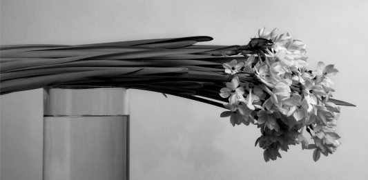 The volatility of being. In mostra a Firenze le fotografie di Roberto Patella Roberto Patella