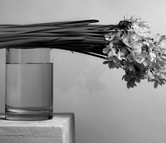 The volatility of being. In mostra a Firenze le fotografie di Roberto Patella Roberto Patella