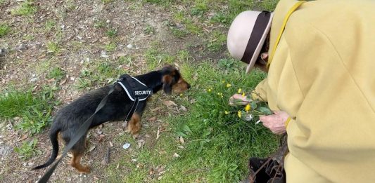 Il senso straniante dell’attesa nell’ultimo film di Marco Chiarini