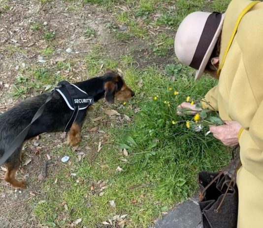 Il senso straniante dell’attesa nell’ultimo film di Marco Chiarini