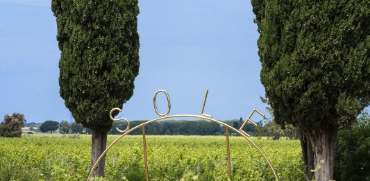 L’universo e la vite: cinque artisti in un’azienda vinicola toscana