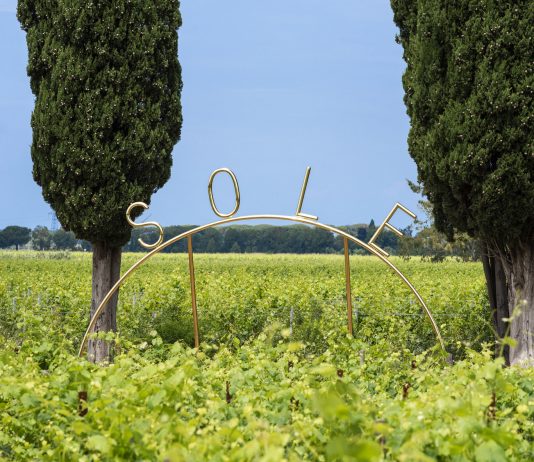 L’universo e la vite: cinque artisti in un’azienda vinicola toscana