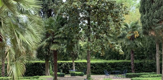 Nuove prospettive del femminismo: gli incontri di Scripta/En plein air a Firenze