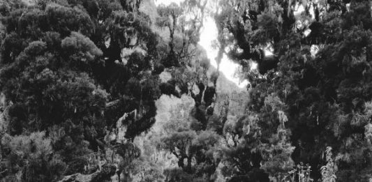 Luce della Montagna, la più importante esposizione sul modo delle vette, fino al 25 giugno al Museo di Santa Giulia a Brescia