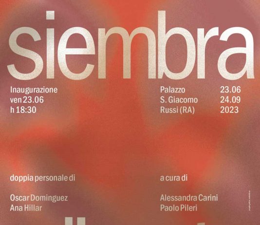 SIEMBRA DIRECTA. L’arte che sta dalla parte del suolo