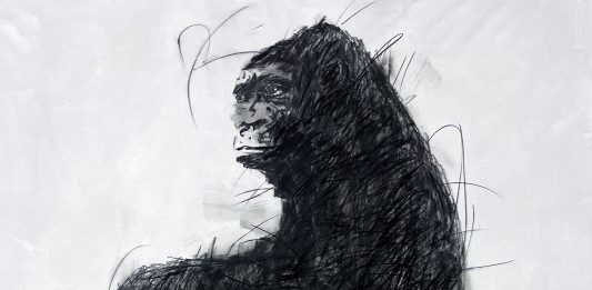 Ciò di cui le parole non parlano: H.H. Lim alla Fondazione Baruchello di Roma