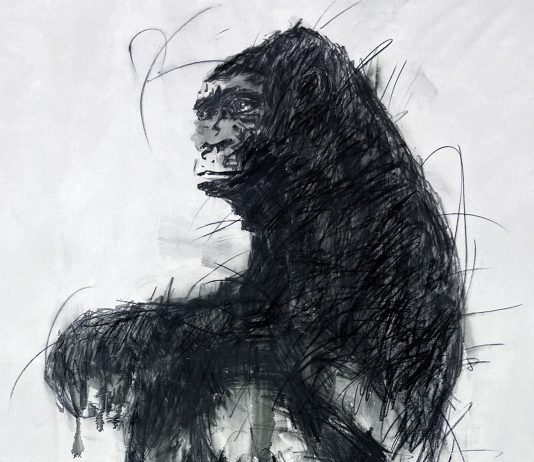 Ciò di cui le parole non parlano: H.H. Lim alla Fondazione Baruchello di Roma