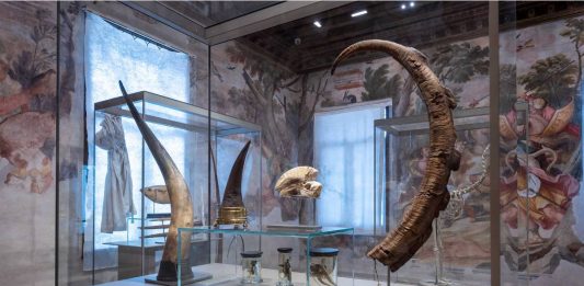 Il Museo della Natura e dell’Uomo apre le porte a Padova: è il più grande in Italia MNU - Museo della Natura e dell’Uomo, Padova