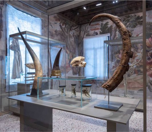 Il Museo della Natura e dell’Uomo apre le porte a Padova: è il più grande in Italia MNU - Museo della Natura e dell’Uomo, Padova