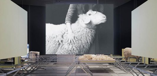 Storia della lana e rapporto uomo-animali: l’ultimo progetto dei Formafantasma a Oslo