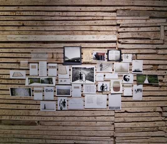 I lavori di Mario Sillani Djerrahian in mostra da SPARC* a Venezia