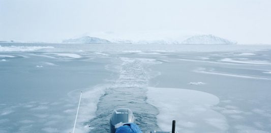 Art Stays: il Festival Internazionale di Arti Contemporanee a Ptuj in Slovenia