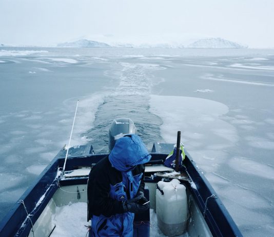Art Stays: il Festival Internazionale di Arti Contemporanee a Ptuj in Slovenia