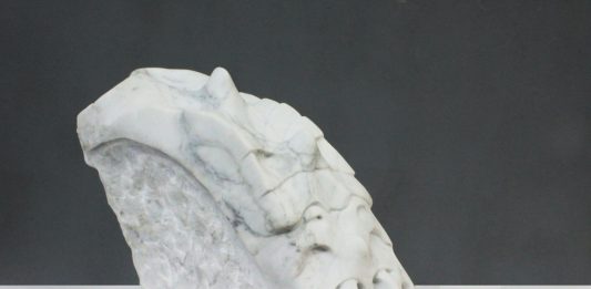 Premio Arte Acqua Dell’Elba: 20 artisti dell’Accademia di Belle Arti di Brera interpretano il tema della Transizione