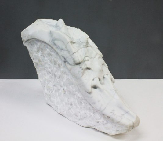 Premio Arte Acqua Dell’Elba: 20 artisti dell’Accademia di Belle Arti di Brera interpretano il tema della Transizione