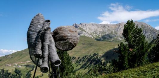 RespirArt, quel parco si lascia ascoltare dal 21 al 29 luglio a Pampeago in Val di Fiemme