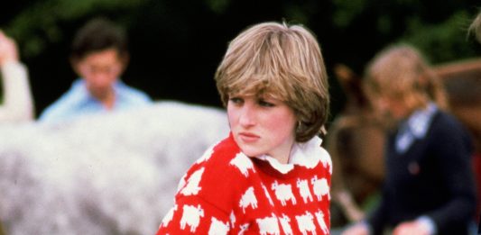 Un iconico maglione di Lady Diana va all’asta da Sotheby’s maglione diana