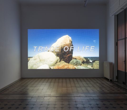 T.J Wilcox, Trace of Life