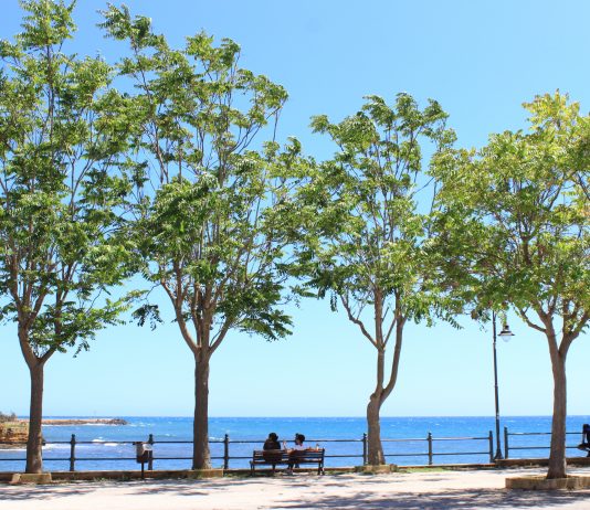 Il viaggio di Nocentre, arte contemporanea in trasformazione in Sicilia