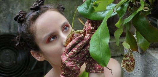 Il passato si unisce al presente, nel Carcere Borbonico di Avellino