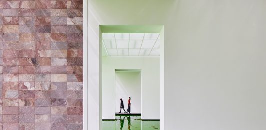 Artisti per il pianeta, una ricognizione di Anna D’Elia: dialogo con l’autrice