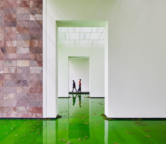 Artisti per il pianeta, una ricognizione di Anna D’Elia: dialogo con l’autrice