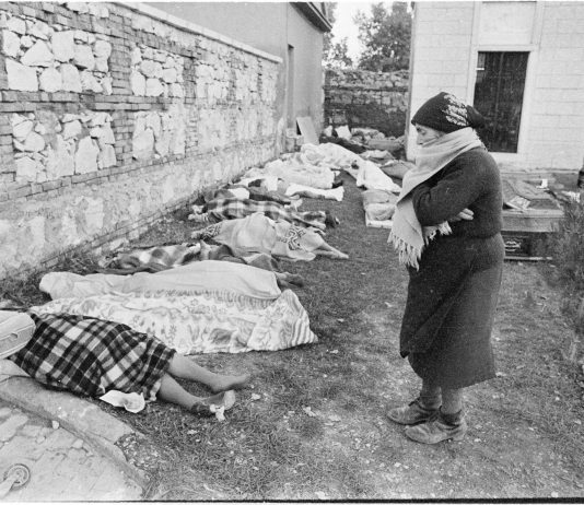 Dal terremoto alla bellezza, attraverso le fotografie dell’Archivio di Stato di Napoli