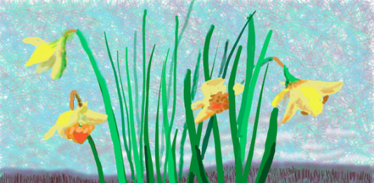 Una super mostra di David Hockney al MOT Museum di Tokyo