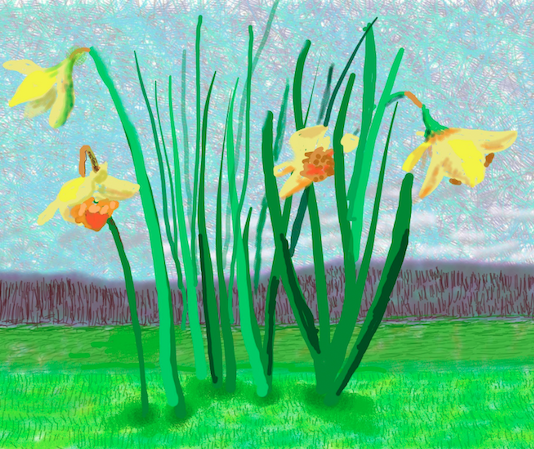 Una super mostra di David Hockney al MOT Museum di Tokyo