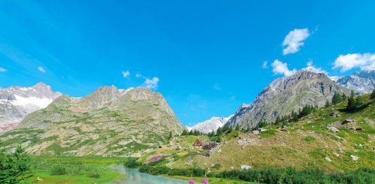 Vivo Verde: quattro incontri tra cultura e natura, a Courmayeur