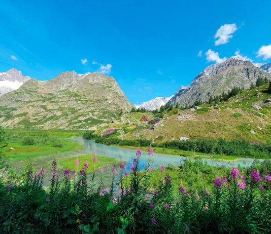 Vivo Verde: quattro incontri tra cultura e natura, a Courmayeur