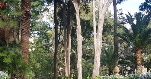 Incontri notturni dell’arte, a Porto Ercole: ecco i protagonisti dei talk