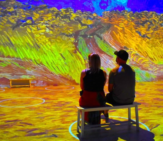 La società dietro le mostre immersive di Van Gogh e Frida Kahlo è in bancarotta