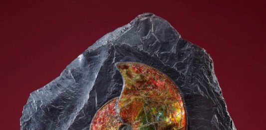 Stranger Things! Gli oggetti più curiosi passati all’asta (nel I semestre 2023) stranger things asta