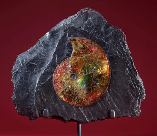 Stranger Things! Gli oggetti più curiosi passati all’asta (nel I semestre 2023) stranger things asta