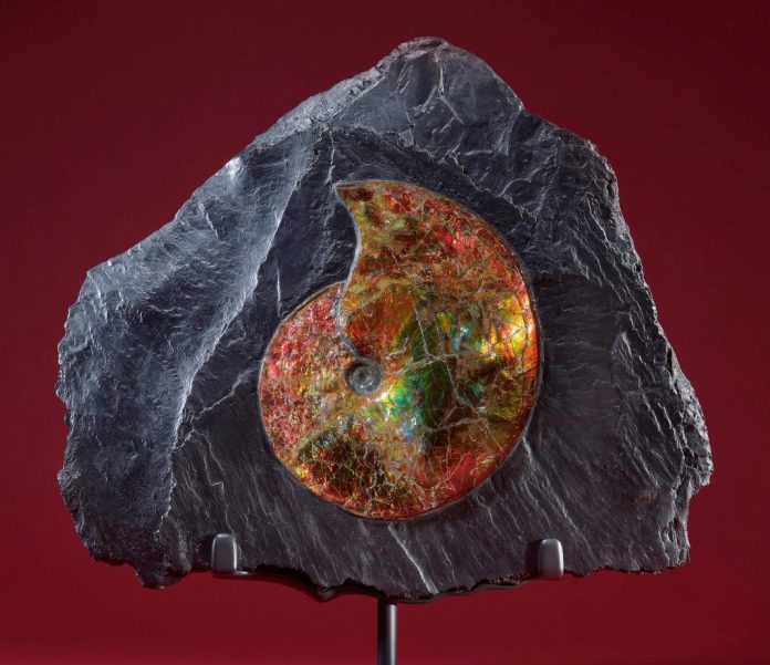 stranger things asta