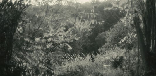 Laterale Film Festival: l’audiovisivo torna a Cosenza per la nuova edizione Eleonora Cutin, Alétheia, Laterale Film Festival 2023, Cosenza