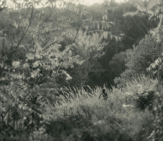 Laterale Film Festival: l’audiovisivo torna a Cosenza per la nuova edizione Eleonora Cutin, Alétheia, Laterale Film Festival 2023, Cosenza