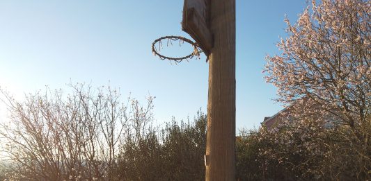 Cartoline dall’estate: Rastevic per Sanjeshka