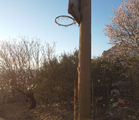 Cartoline dall’estate: Rastevic per Sanjeshka