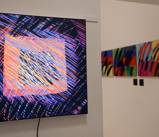 “Nature Wonder” di Carlo Gasperoni: l’armonia tra scienza e arte in mostra alla Scoletta Battioro e Tiraoro di Venezia