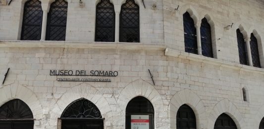 Il raglio dell’asino