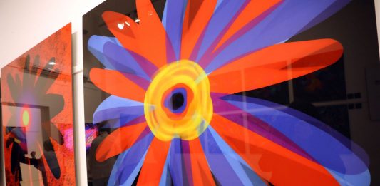 CARLO GASPERONI NATURE WONDER alla Scoletta dei Battioro e Tiraoro dal 29 Agosto al 5 Settembre 2023